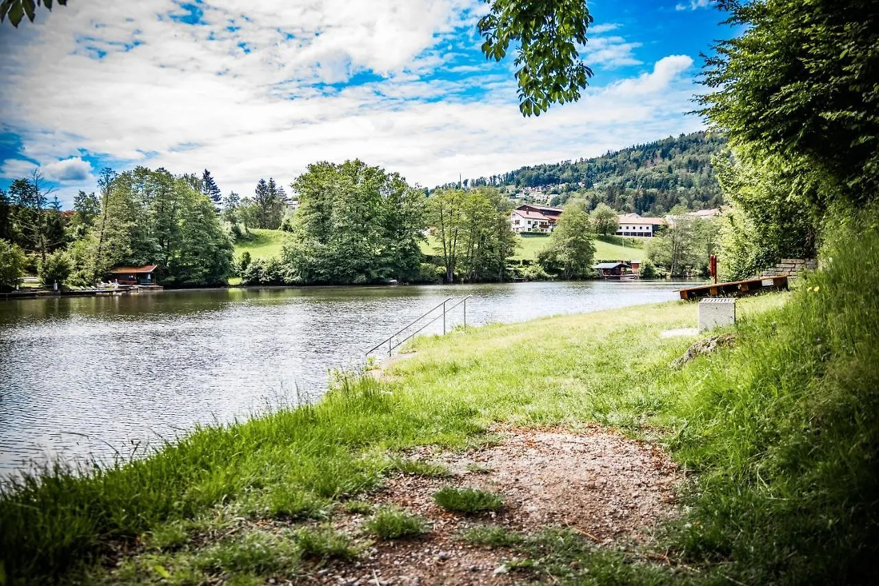 ***  Hotel Der Seehof Germany